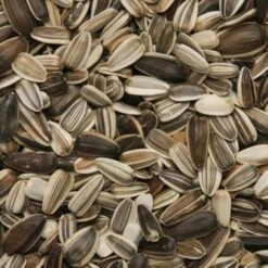 Medium Sunflower Seed 12.75kg