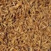 Mealworms 12.5kg 2 Mealworms 12.5kg -Pet Supplies Store 0006622 mealworms 125kg 600