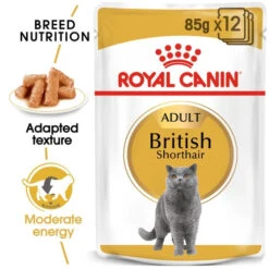 Royal Canin Cat - Pouch Box British Shorthair In Gravy 12x85g -Pet Supplies Store 0020929 royal canin cat pouch box british shorthair in gravy 12x85g