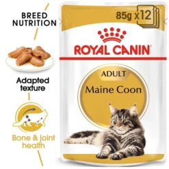 Royal Canin Cat - Pouch Box Maine Coon 12x85g -Pet Supplies Store 0020955 royal canin cat pouch box maine coon 12x85g