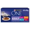 Purina ONE Adult Mini Fillets Mixed Selection In Gravy Wet Cat Food 40x85g -Pet Supplies Store 0021736 purina one adult mini fillets mixed selection in gravy wet cat food 40x85g 600