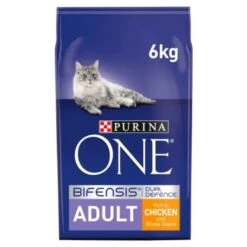 Purina ONE Adult Chicken And Whole Grains Dry Cat Food 6kg