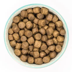 Burns Dog - Adult Active Chicken & Rice 12kg -Pet Supplies Store 0021893 burns dog adult active chicken rice 12kg