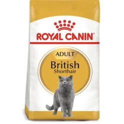 Royal Canin Cat - British Shorthair 4Kg