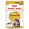 Royal Canin Cat - Pouch Box Maine Coon 12x85g 2 Royal Canin Cat - Pouch Box Maine Coon 12x85g -Pet Supplies Store 0022064 royal canin cat pouch box maine coon 12x85g