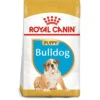 Royal Canin Dog - Bulldog Puppy 3kg 1 Royal Canin Dog - Bulldog Puppy 3kg -Pet Supplies Store 0022091 royal canin dog bulldog puppy 3kg