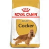 Royal Canin Dog - Cocker Adult 3kg 2 Royal Canin Dog - Cocker Adult 3kg -Pet Supplies Store 0022097 royal canin dog cocker adult 3kg