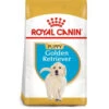 Royal Canin Dog - Golden Retriever Puppy 3kg -Pet Supplies Store 0022110 royal canin dog golden retriever puppy 3kg