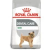 Royal Canin Dog - Mini Dental Care 3kg -Pet Supplies Store 0022157 royal canin dog mini dental care 3kg