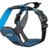 Company Of Animals CarSafe Crash Tested Harness Medium -Pet Supplies Store 0027574 company of animals carsafe crash tested harness medium 600