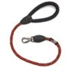 Long Paws Comfort Rope Lead Mk1 75cm Orange -Pet Supplies Store 0028372 long paws comfort rope lead mk1 75cm orange 600