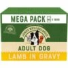 James Wellbeloved Dog - Adult Lamb Mega Pack Pouches 40x150g