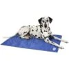 Scruffs Cooling Mat Blue 92x69cm L -Pet Supplies Store 0029161 scruffs cooling mat blue 92x69cm l 600